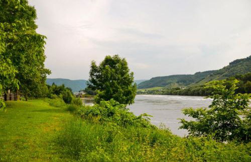 Ferienwohnungen Moselterrasse - Foto 9