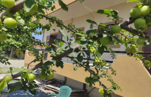 Anastasia's house - Foto 10