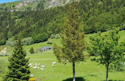 Appartement spacieux au cœur du massif du Sancy - Foto 9