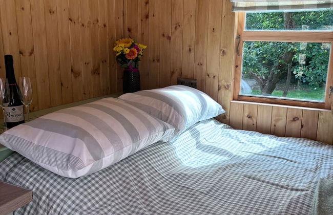 Shepherds Hut With Hot Tub - Foto 13