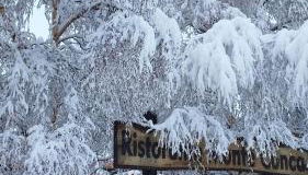 Etna Charming Apartment - Foto 4