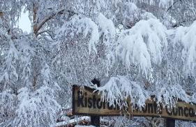 Etna Charming Apartment - Foto 4