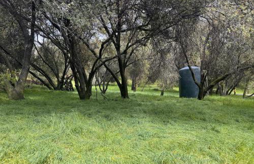 Bear Hollow by Sequoia National Park - Foto 43