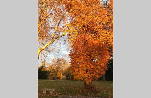 Domaine de la Durantie Duplex Vieux Chateau - Foto 20