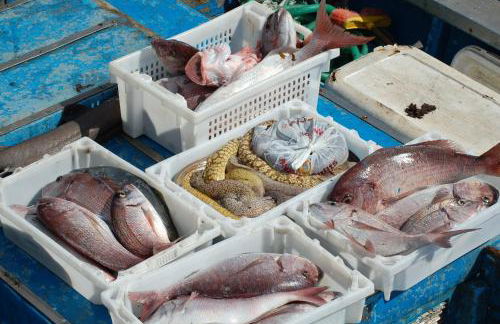 Apartamento Agaete beach 4B - Foto 10