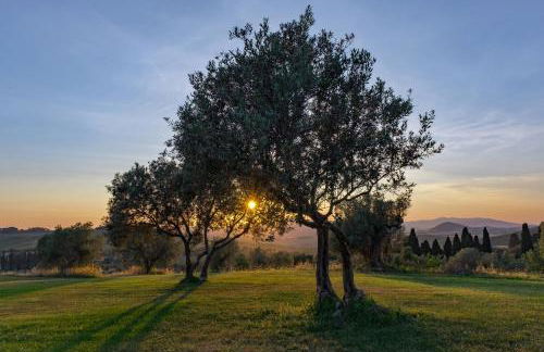 La Marrana - Castello del Terriccio - Foto 59