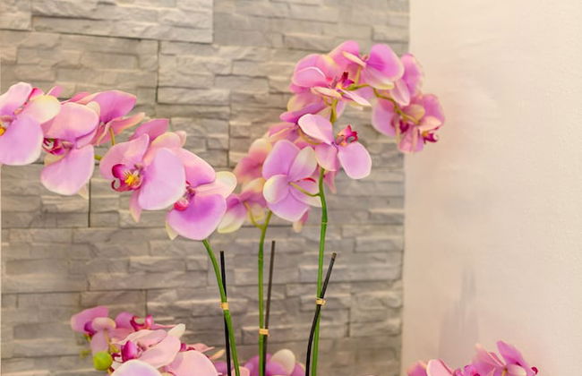 Apartments Stipisic - Foto 43