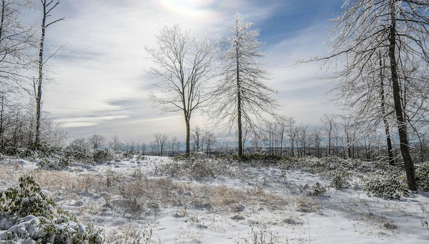 Woods-stock by Taylor Made Deep Creek - Foto 5, Servicios del alojamiento