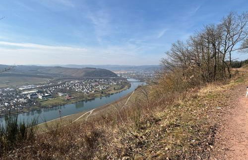 Panorama-Auszeit in Trierweiler - Foto 34