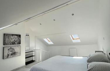 L'amiénoise proche zenith stade cathédrale - Foto 20