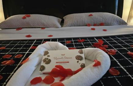 Maple House Romantic Getaway WHot Tub Near IAH - Foto 8