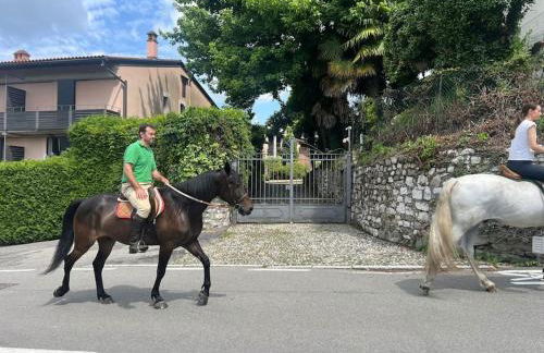 Borgo del 1700- Le Scuderie- trilocale - Foto 4