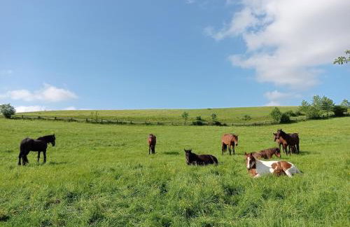 Ferienhaus Goldgrube - 5 Zimmer - 140qm am Fluss - Foto 14