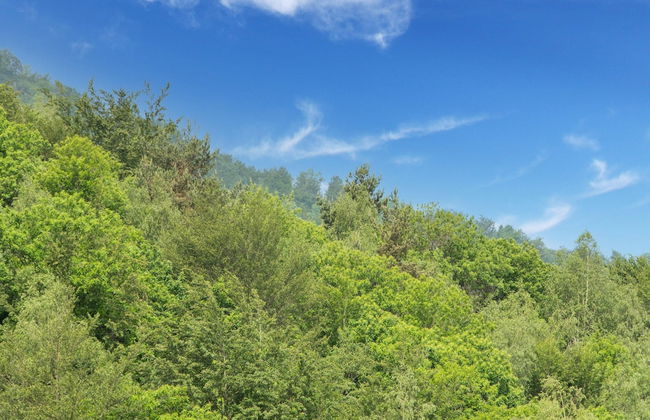 Holiday Home in Liguria Near Barbottina Forest - Foto 39