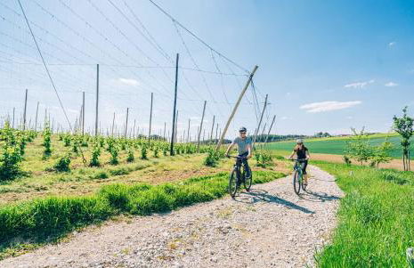 Hotel Abenstal - Foto 45