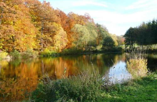 Wohnung Nahe Inselsberg Wanderwege - Photo 40