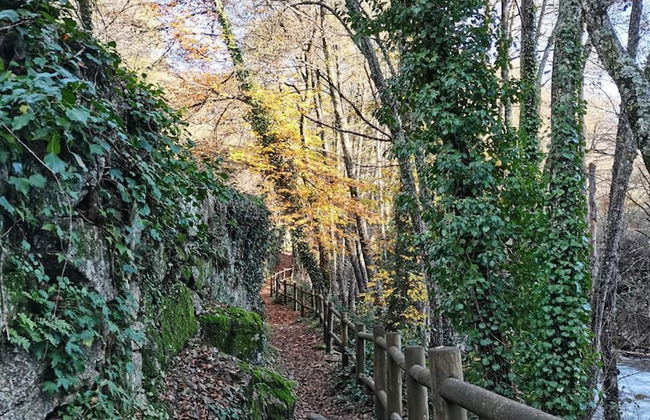 Casa Rural Parada Real - Foto 40