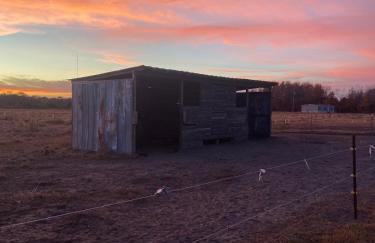 Serene Stay in North Carolina!! - Foto 38