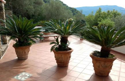 Villa Bella Vista - Foto 52