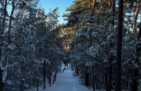 Relax Hütten & Spa Gröden - Foto 10
