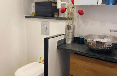 Paris-Zénith-bienvenue-terrasse-Netflix - Foto 14