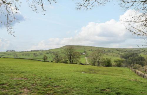 Swallows Return - Foto 20