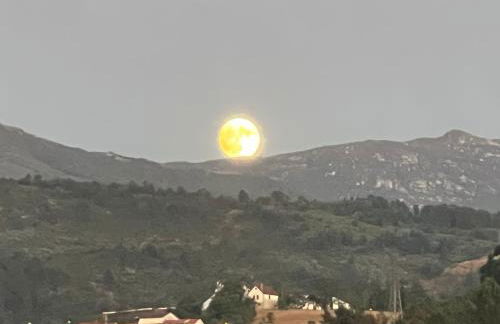 Quinta do Lameiro Maceira - Foto 11