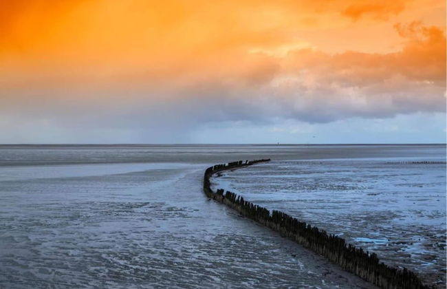 Bungalow in Sondel Near Slotermeer Lake - Foto 39