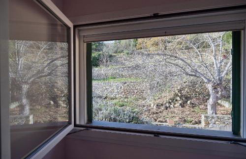 La Riviera dei Colori - Foto 69