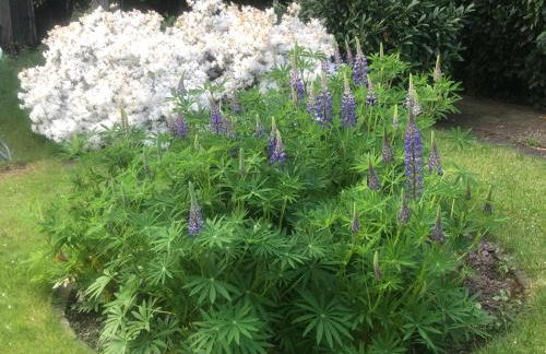 Little Cottage Merbeck - Foto 19