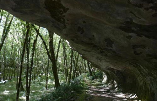 Manoir Périgord Noir/Piscine chauffée/Etang&Forêt - Photo 35