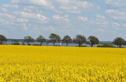 Ostseeliebe - Sünnenkieker WE7, Beckerwitz - Foto 36