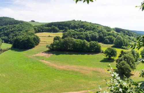 Bungalow auf dem Campingpark Waxweiler - Foto 31
