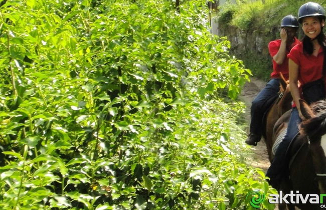 Stone House National Park - Foto 19