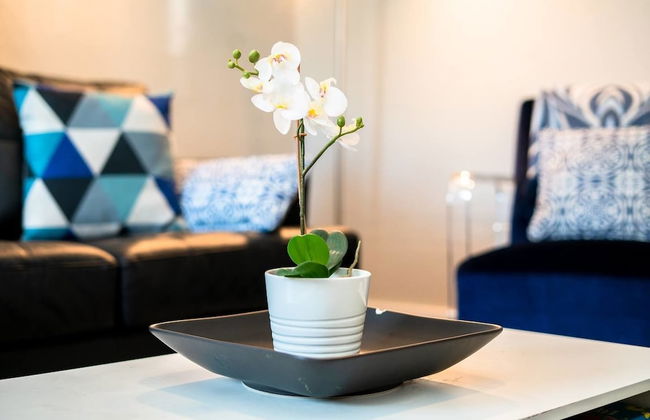 The Traveler's Corner Located on Larimer Street - Foto 10