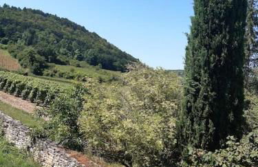 Charmant gîte Au saut des vignes - Foto 9