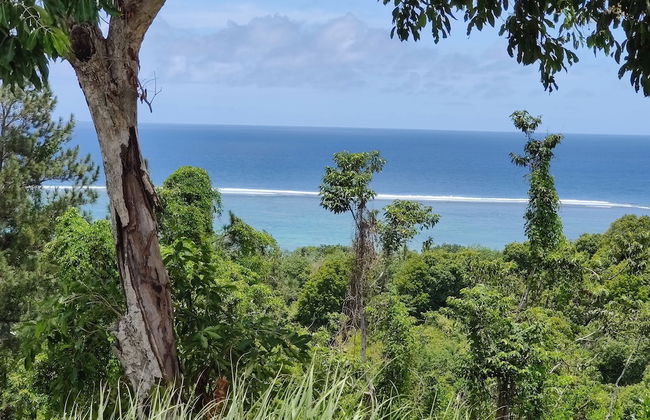 Belle Balise - Photo 14