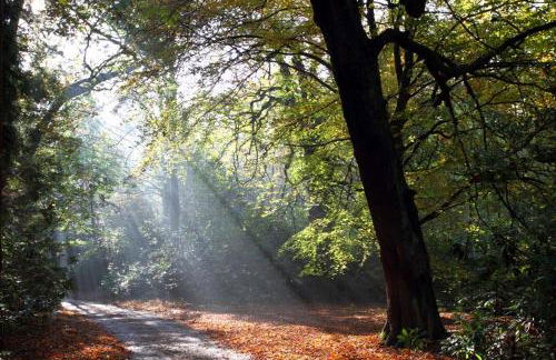 Harewood Estate Cottages - Foto 78