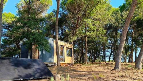 Tiny-House Grand Confort - Salle de bain italienne - Lit King - 10 min A7 - Foto 2