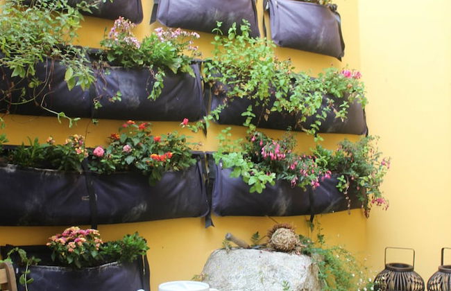 Arco Apartments - Photo 79