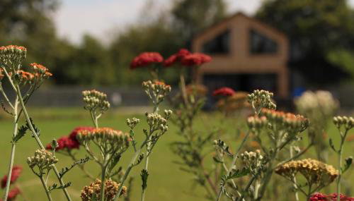 Bodkowo - Foto 2, Garden, Garden view