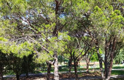 Appartamento doppi bagni sei posti letto - Foto 30