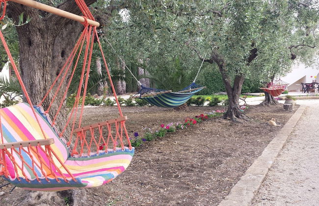 Agrisicilia - Foto 40