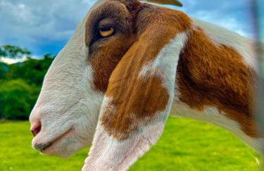 Hospedagem Zilz - Foto 56