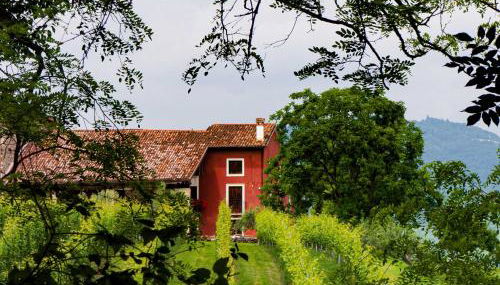 MASARI ALLA CASA ROSSA Vineyard guest house - Foto 4