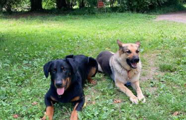 Country house! Maison de campagne! - Foto 13