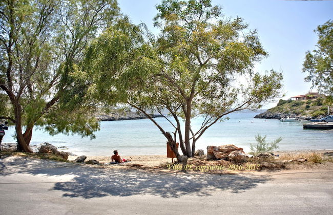 Villa Plumeria Flower - Foto 46