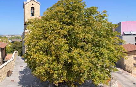 Vitoria-Gasteiz magnífica casa - Foto 43