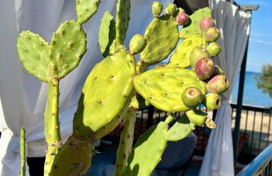 House on the beach - Foto 45