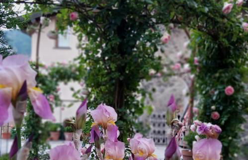 Villa Costanza Appartamento con balcone e vista giardino - Foto 22